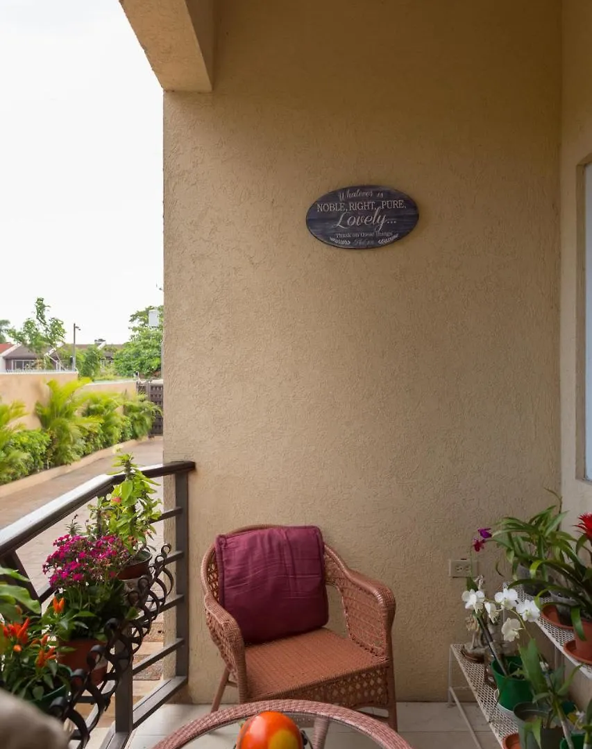 New Kingston Guest Apartment At Inglaterra I