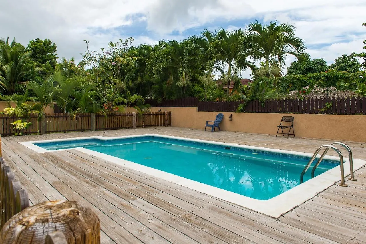 New Kingston Guest Apartment At Inglaterra I